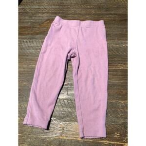 Carter’s Dinosaur Purple Pants 24m